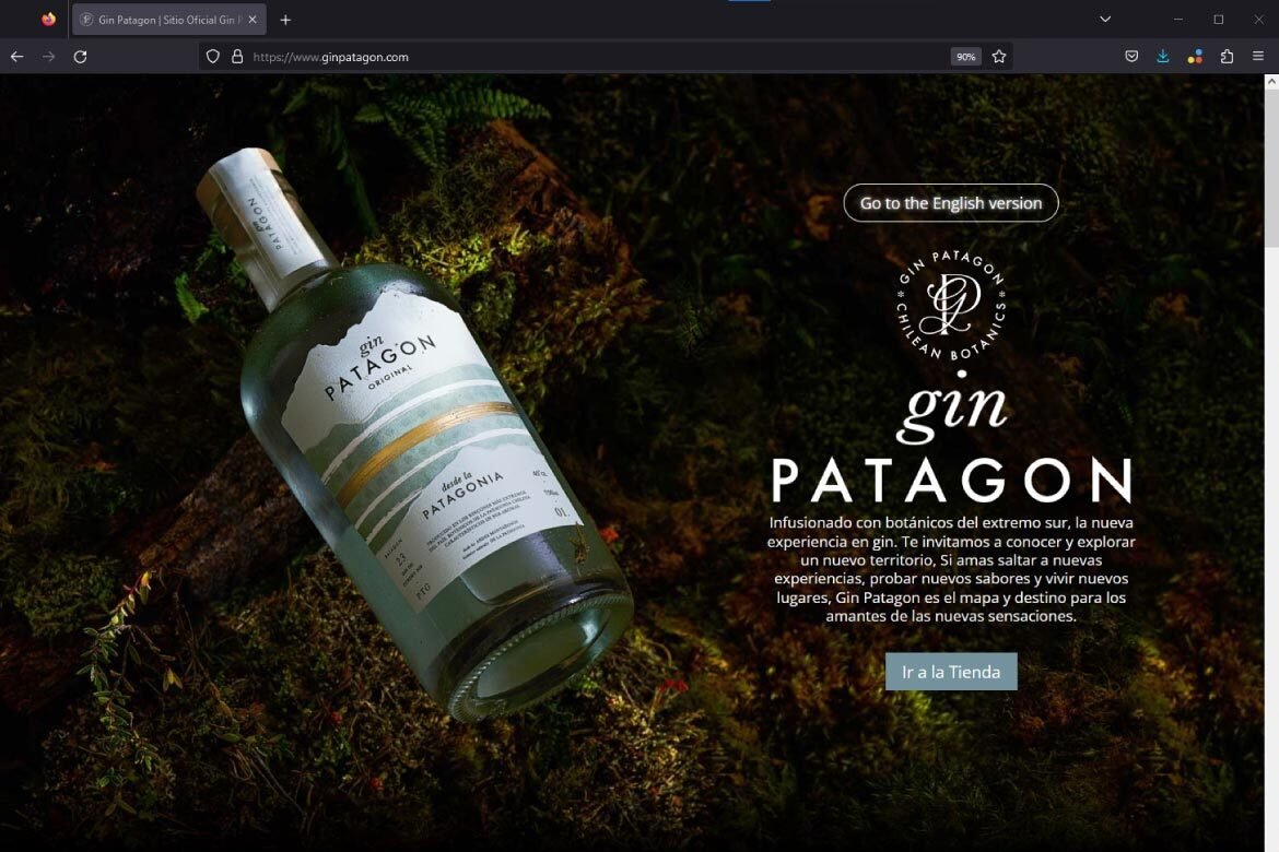 gin-patagon-desarrollo-web
