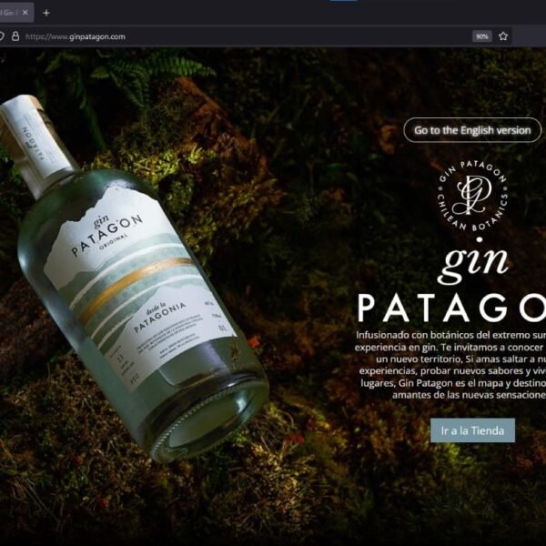 One Page Gin Patagon Viña Valdivieso